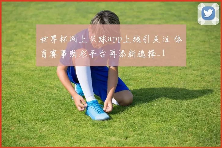 世界杯网上买球app上线引关注 体育赛事购彩平台再添新选择_1