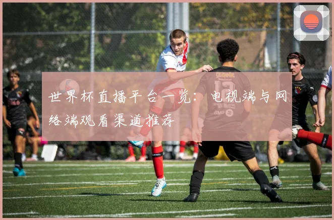 世界杯直播平台一览：电视端与网络端观看渠道推荐