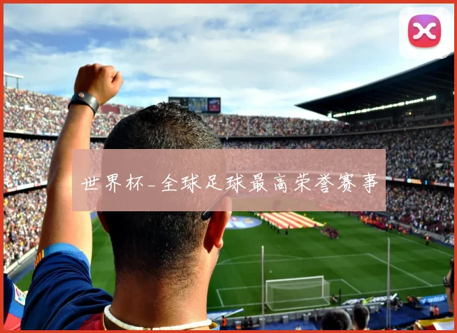 世界杯_全球足球最高荣誉赛事